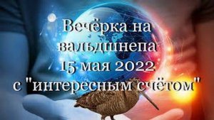 Вечёрка на вальдшнепа 15 мая 2022 с "интересным счётом" #мой_мир_поморье