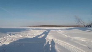 Снегопельмени 24.02.23