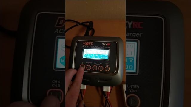 Зарядное устройство SkyRC D100 смотреть онлайн