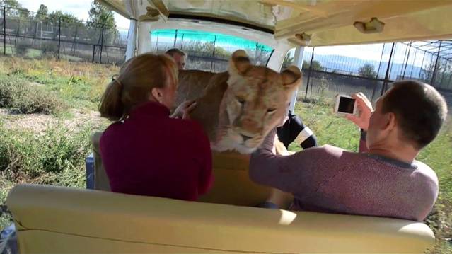 Нежданчик от Лолы . 'Дядько ' в шоке !!! смотреть онлайн