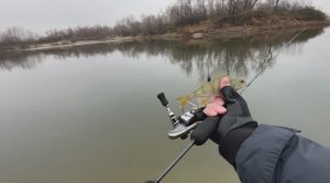 8ка 1.11.24 CF Nano Zero SE