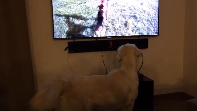 2016-09 / Міра дивиться телевізор смотреть онлайн