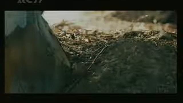 RCTI TV 260214 A Mild 04 37 05 39 00 04 37 00 05 39 смотреть онлайн