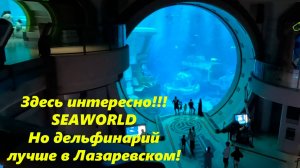 Тут здорово , но шоу дильфинов фуфло! Морской мир!!! Абу Даби ЖД🌴ЛАЗАРЕВСКОЕ СЕГОДНЯ🌴СОЧИ