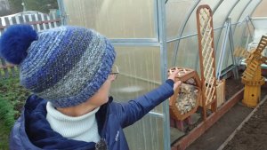 Видео привет с 6 соток 29 октября 2024 года.