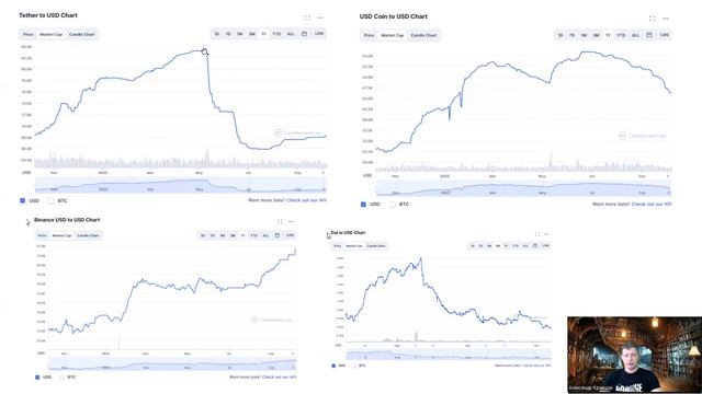 Стейблкоины обзор USDT, USDC, BUSD, DAI | Выбор и покупка безопасных стейблкоинов риски, перспективы