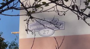 Сочи .Ул Цветной бульвар! Прогулка с дорогими подписчиками!