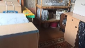 Наконец то разгребла этот угол, Прогулялись в лесу