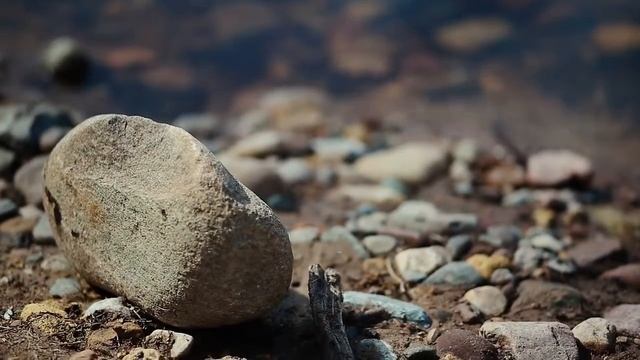 Севералмаз - Об экологии