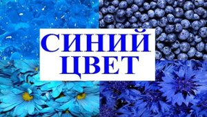 Изучаем цвета _ СИНИЙ цвет _ Обучающий и развивающий мультик для детей _ Слушать онлайн