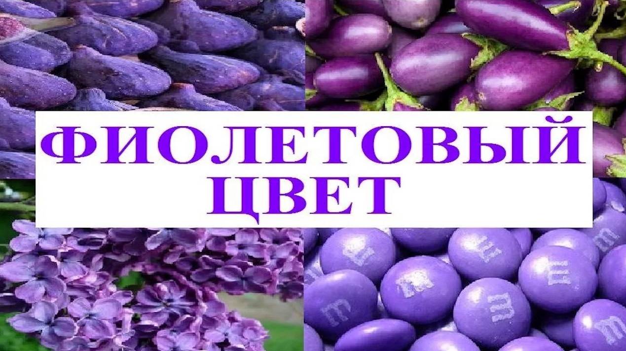 Изучаем цвета _ ФИОЛЕТОВЫЙ цвет _ Обучающий и развивающий мультик для детей _ Слушать онлайн