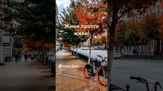 Краснодар