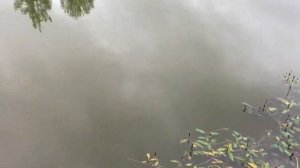 Рыбалка на экраны рыбалка на телевизоры