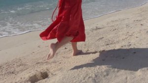 Sony BRAVIA 4K TV   Feel the Beauty