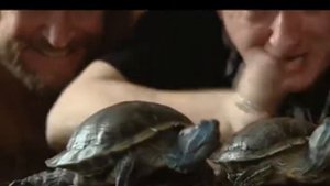 Феникс+Кино  ПРОМО 30 сек 2015