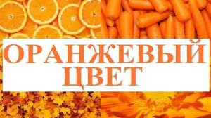 Изучаем цвета _ ОРАНЖЕВЫЙ цвет _ Обучающий и развивающий мультик для детей _ Слушать онлайн