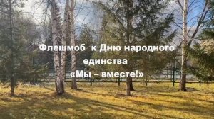 Флешмоб к Дню народного единства