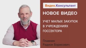 Видеоанонс лекции Р.Б. Плавника "Учет малых закупок в учреждениях госсектора"