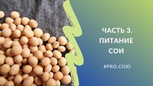 Часть 3. Питание сои | Пять вечеров PRO.СОЮ