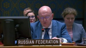 Statement by Permanent Representative Vassily Nebenzia at UNSC Briefing on Haiti