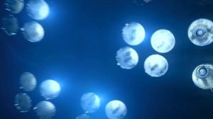 4K HDR Space Sony Oled TV Demo