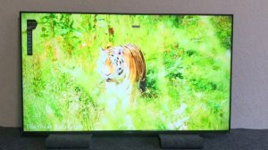 ВИТЯЗЬ 55LU1204 полный комплект