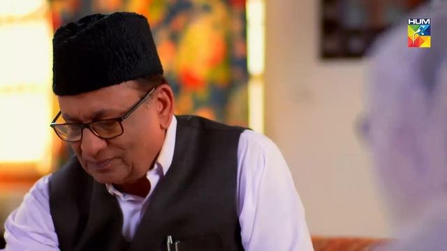 Choti Si Zindagi Episode 14 HUM TV Drama