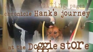 Hank's Visit to the Doggie Store By Dr. Amy Kabel