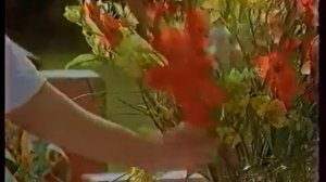 Старая реклама Ментос.Ностальгия по 90ым...