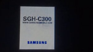 Samsung SGH-C300 - On/off (2 variants)