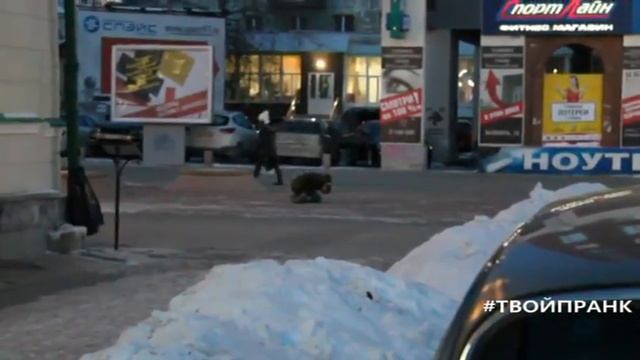 Социальный эксперимент: человеку плохо / Екатеринбург