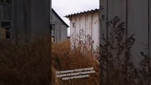 По телевизору говорят правду! Америка загнивает! Уникальные кадры из Калифорнии.