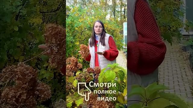 Когда ОПАСНЫ минеральные удобрения