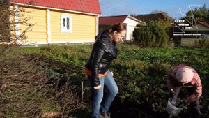 Пора сажать чеснок правильно