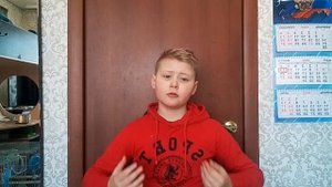Что нужно знать при покупке хомяка