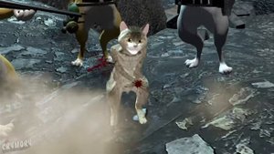 CRYMORY #мем #врекомендации