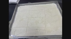 Закваска стартовых культур - для производства сыра, йогурта, стартовые культуры для колбас