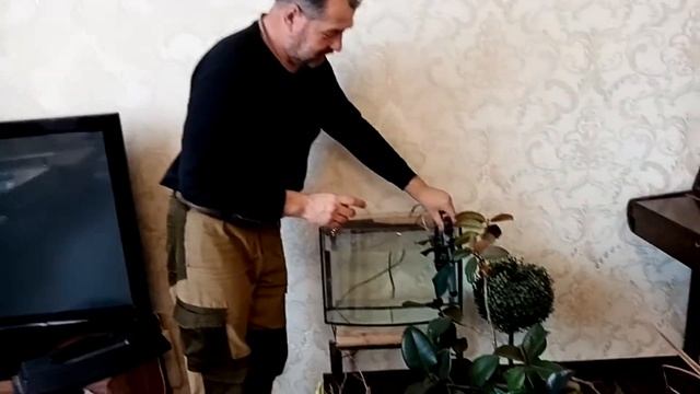 А у нас новые жители.Жить дешево и сердито