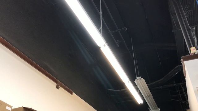 California quake 7-8-2021 смотреть онлайн