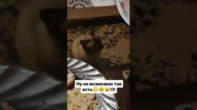 Так есть не возможно!!