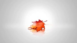 Autumn Multimania TV bumper 3