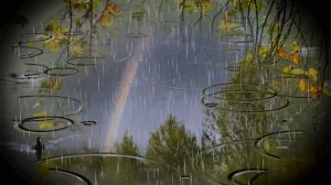 Осенний футаж. Дождь по луже.