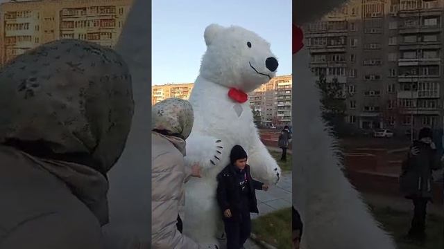 медведь танцует под музыку