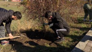 В Залукокоаже прошла экологическая акция по посадке деревьев