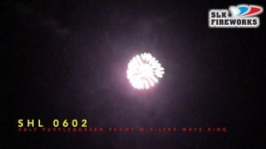 6" SHL 0602 Half Green half Purple peony with silver wave ring L