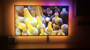 Philips Ambilight 65PUS9809 4K Ultra HD  UHD