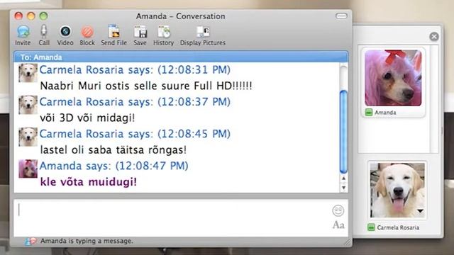 Сенсация! Собака купила телевизор через интернет! смотреть онлайн