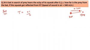 A bat in search of prey hears the echo of its squeak after 0.1 s. How far is the prey from the bat