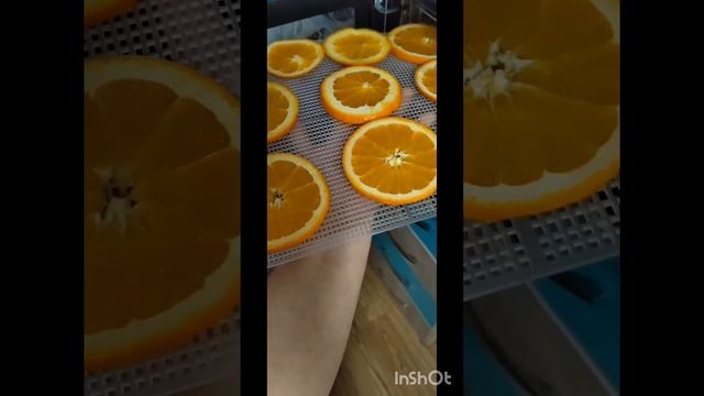 ФРИПСЫ /ГОТОВИМ ДОМА/