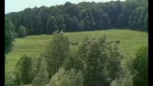 Баллада о любви